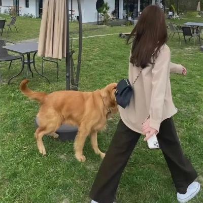 罪物语